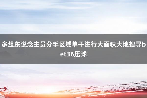 多组东说念主员分手区域单干进行大面积大地搜寻bet36压球