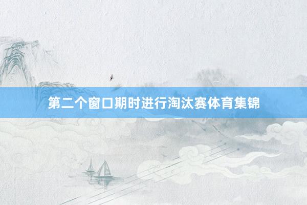第二个窗口期时进行淘汰赛体育集锦