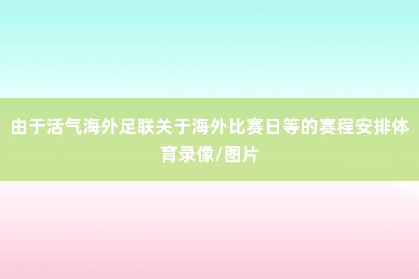 由于活气海外足联关于海外比赛日等的赛程安排体育录像/图片