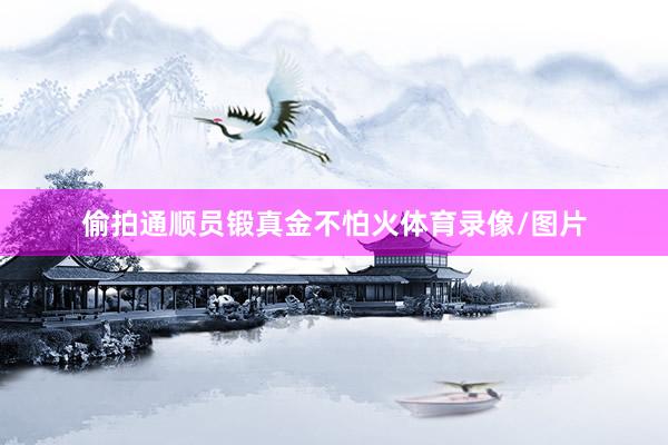 偷拍通顺员锻真金不怕火体育录像/图片